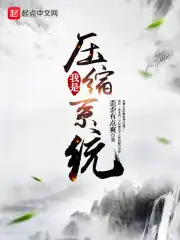 我是压缩系统